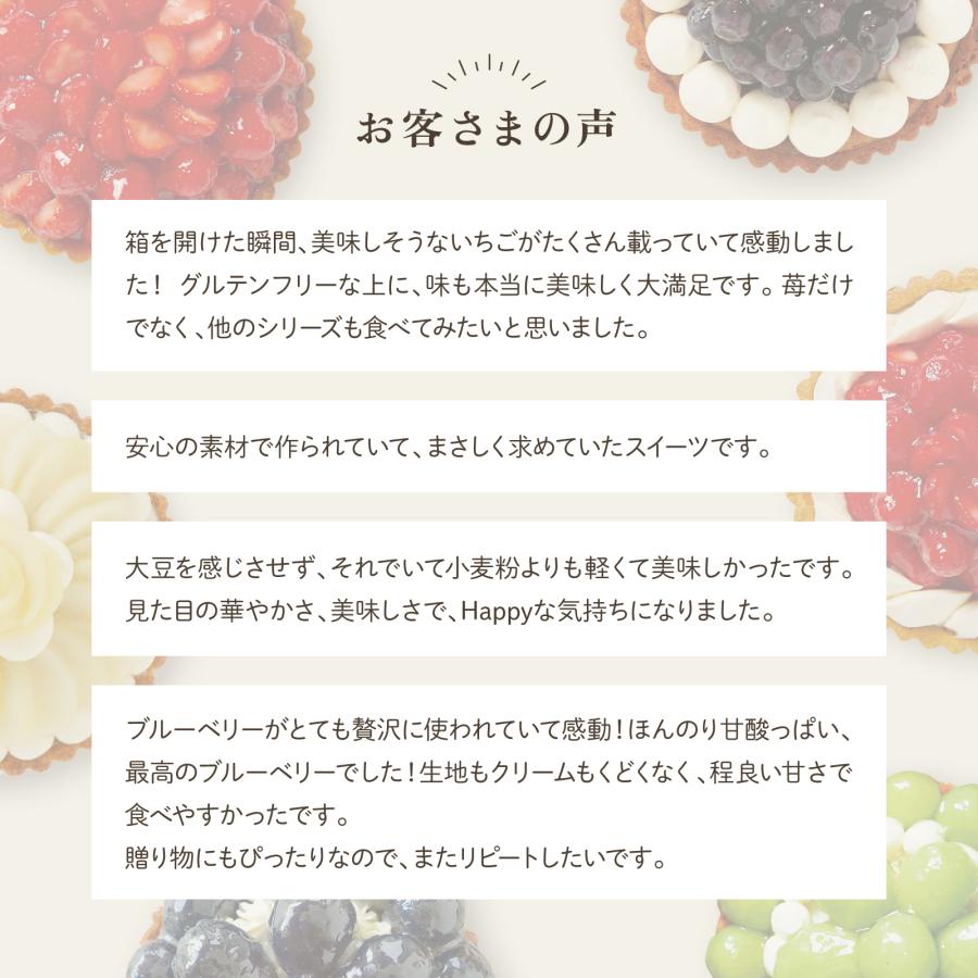 長野県産りんごのタルトタタン フルーツタルト グルテンフリー スイーツ 冷凍 送料無料 ギフト 誕生日 ホールケーキ 直径15cm 5号 タルト |  | 08