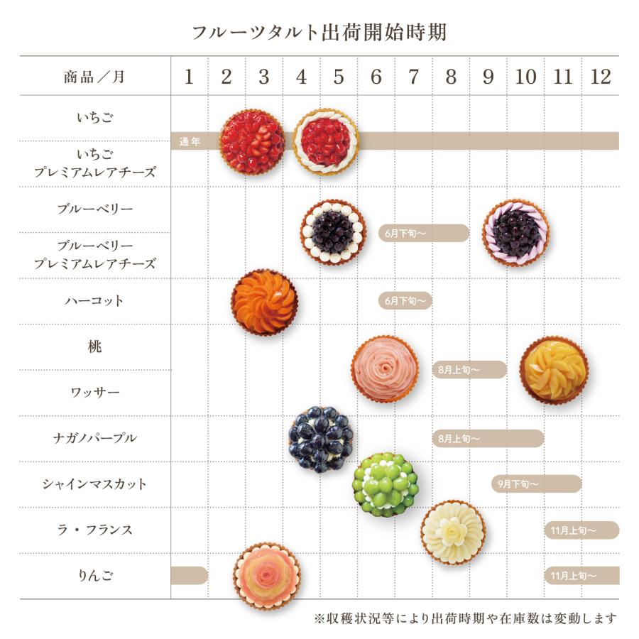 【2026年7月上旬出荷予定】長野県産ブルーベリーレアチーズ フルーツタルト グルテンフリー スイーツ 冷凍 ギフト 誕生日 ホールケーキ 直径15cm 5号 タルト |  | 16