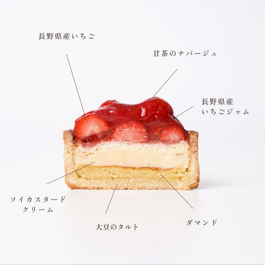 ミニタルト2個セット】長野県産いちご・いちご ケーキ 送料無料 お中元