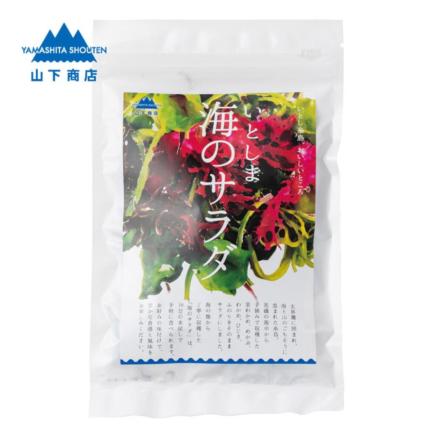 いとしま 海のサラダ【山下商店】海藻　かいそう　海の恵　ミネラル　糸島　水で戻すだけ　さらだ　酢の物　和物 | 