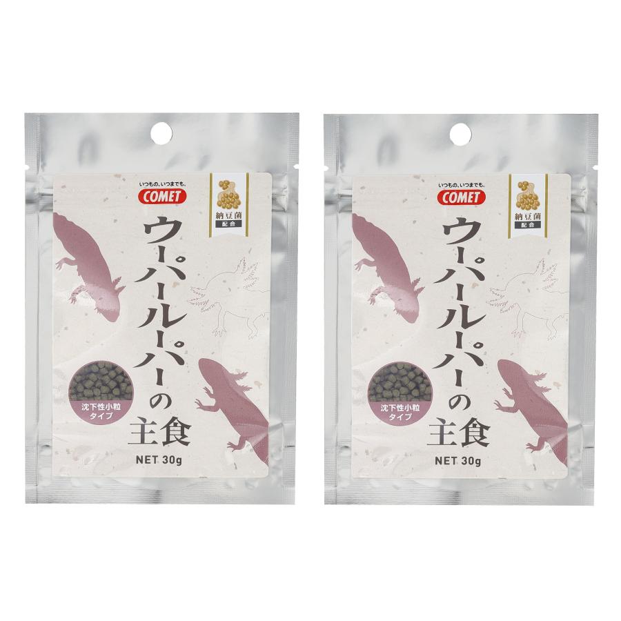 【新商品】【メーカー直販】コメット【2個セット】【沈む小粒フード】ウーパールーパーの主食納豆菌30グラム | イトスイ