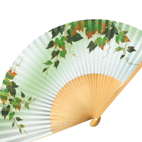 男性用紙扇子 ツタ(c5003)(Aa02) : 扇子司 伊藤常 - 通販