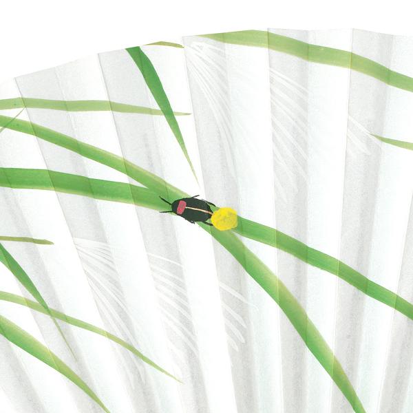 男性用 京扇子 紙扇子 唐木 手書き京扇子 蛍 Ab61 |  | 08