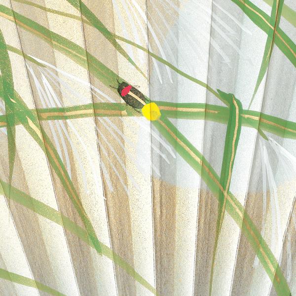 男性用 京扇子 紙扇子 唐木 手書き京扇子 蛍 Ab61 |  | 05