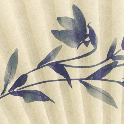 【化粧箱】女性用セット紙扇子 紺染骨 片張り 桔梗 G06 |  | 04