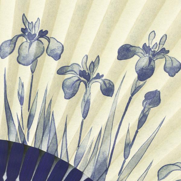 【化粧箱】女性用セット紙扇子 紺染骨 片張り あやめ G08 |  | 04