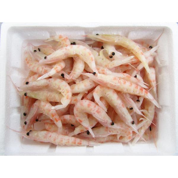 マルキュー 笹勝 オキアミ 生 2L3L : いとう釣具店 - 通販