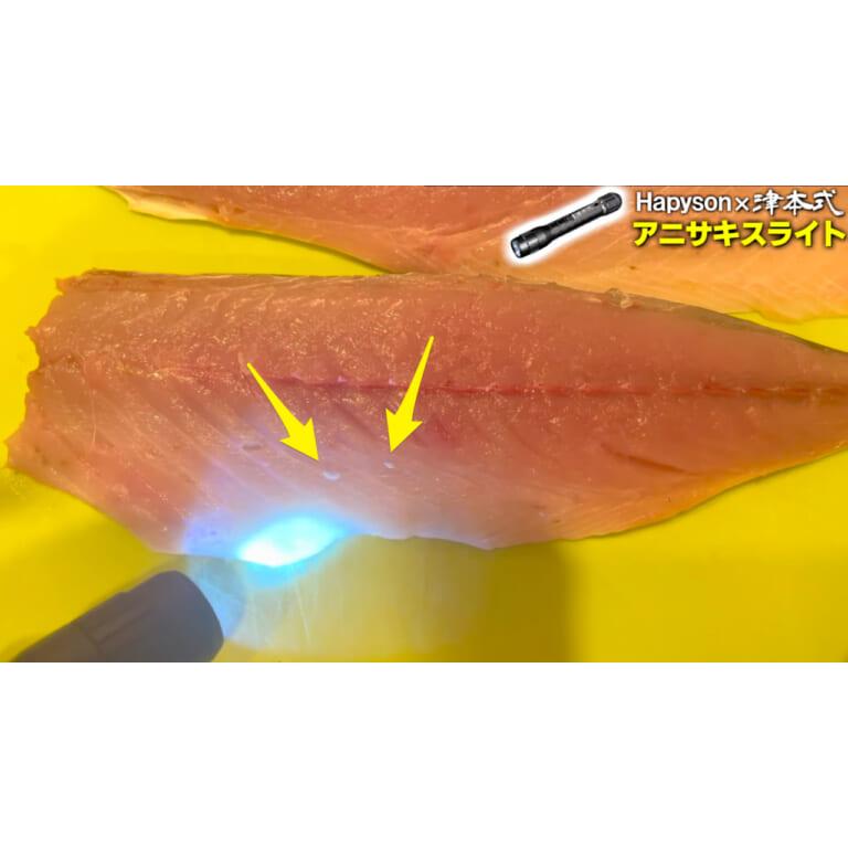 Hapyson ハピソン 津本式 アニサキスライト : いとう釣具店 Hapyson ハピソン 津本式 アニサキスライト : いとう釣具店