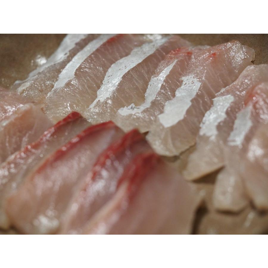 EXTREME 畠山研究所 〆具近海用 神経締め : いとう釣具店 - 通販 