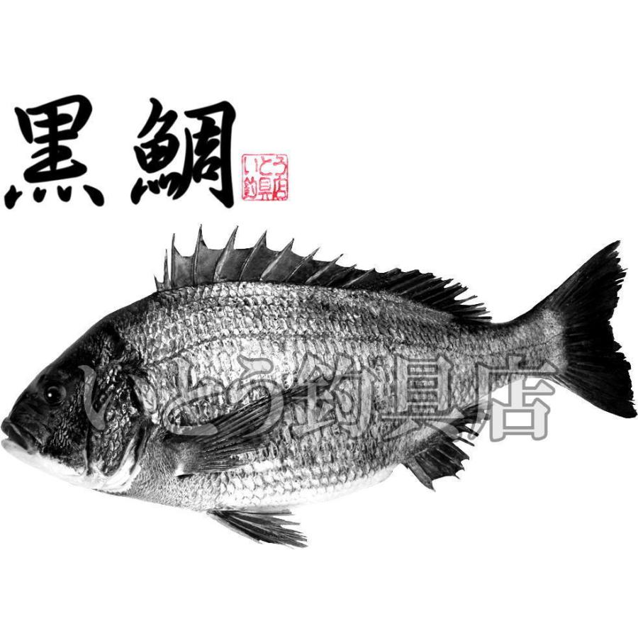 黒鯛 魚拓 Tシャツ クロダイ 和 アッシュ Kurodaigyotakuashu いとう釣具店 通販 Yahoo ショッピング