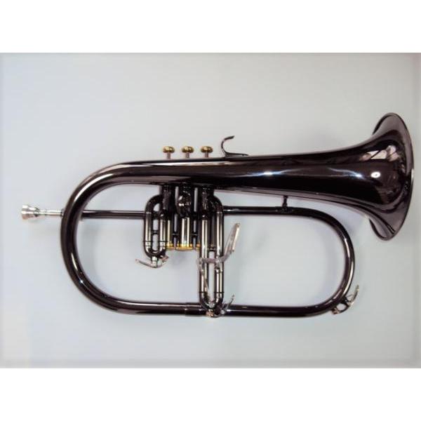 AXIS フリューゲルホルン ♪Axis！送料無料【新品】特注フリューゲル・ホーンBKL : 創業大正2年