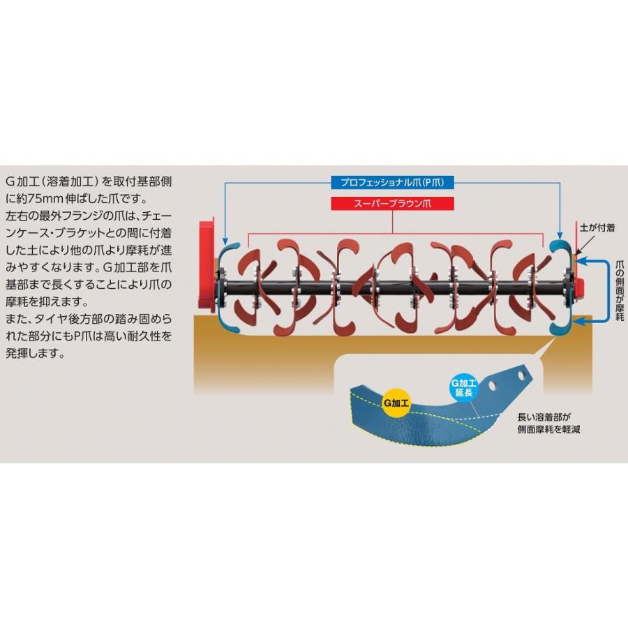 ニプロ 高耐久スーパーブラウン爪+プロフェッショナル爪 A350G+A350PG