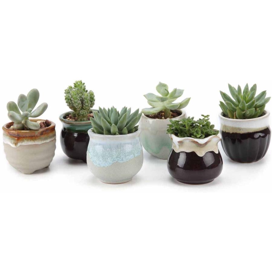 オープニングセール 植木鉢 多肉植物鉢 サボテン鉢 おしゃれ 2号鉢 陶器製 底穴付き ミ二観葉植物適用 6個セット インテリア 飾り プレゼント Heartlandgolfpark Com