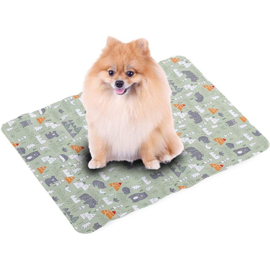 犬マット ペット マット ペットひんやりマット クールマット 冷却シート ひえひえ爽快 犬猫用 熱中症 暑さ対策 夏用 多用途 人間ペット両用 60 50cm G Pet Ly1611 トーセン 通販 Yahoo ショッピング