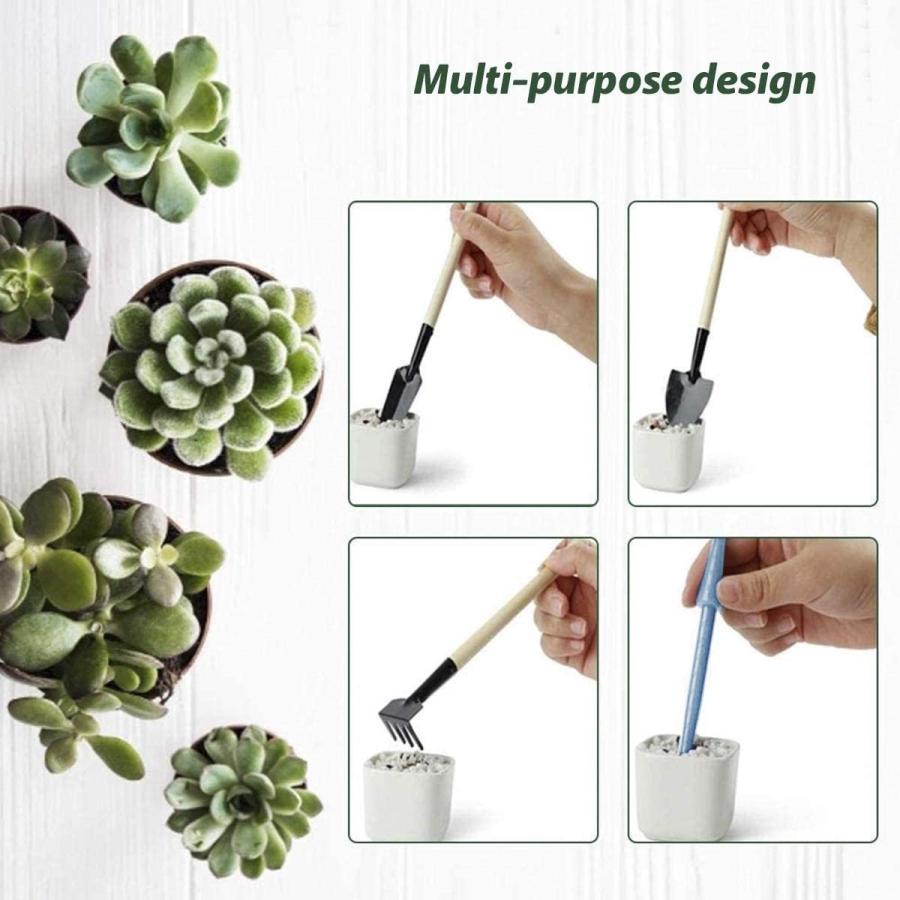 日本限定 木材 ガーデニングツール 多肉植物 観葉植物 栽培 移植 ミニ園芸ツール 多機能 園芸用品 庭造り手工具 熊手 ピンセット ハサミ サボテン栽培 多肉植物工 Www Virginiawaldenford Com