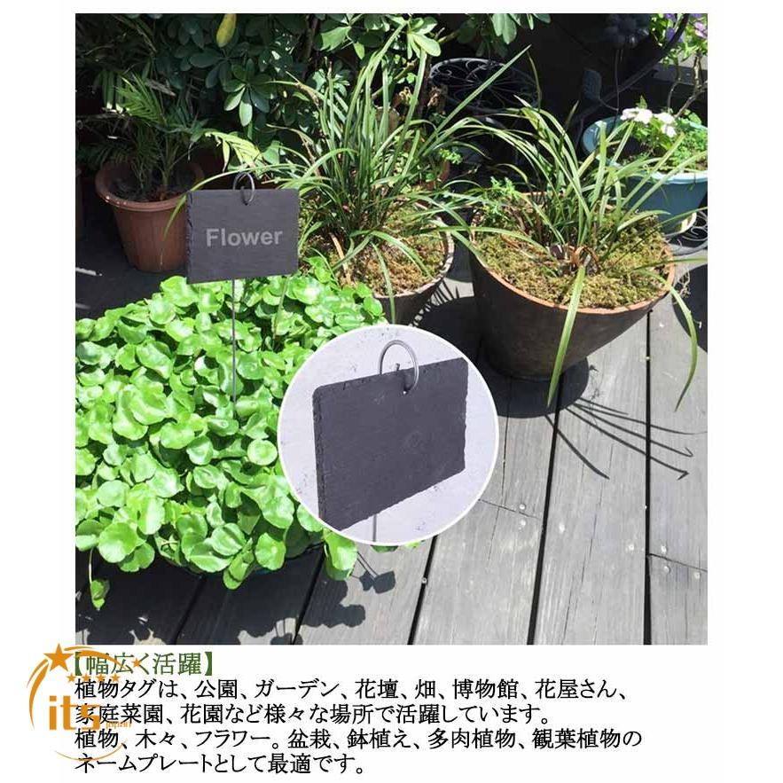 植物タグ 園芸用 プランツラベル ガーデニング 薔薇 フラワー ネーム