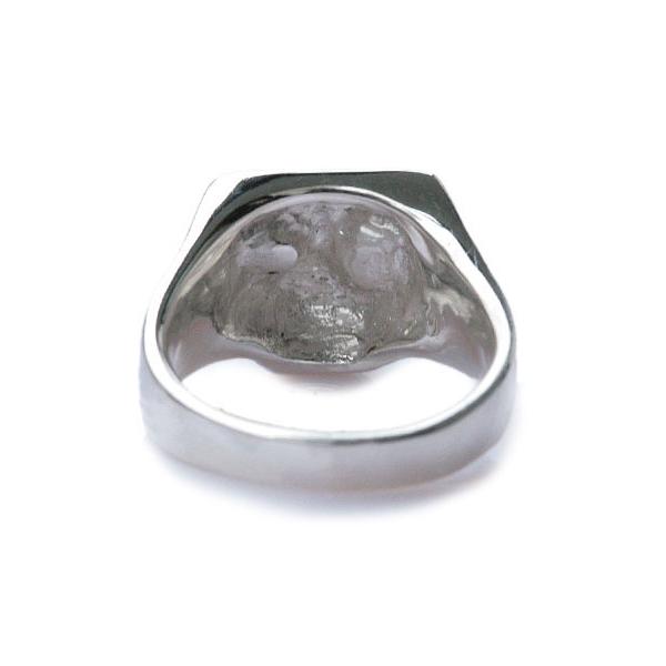 FLASH POINT（フラッシュポイント） JIM SKULL-SE ONYX ジムスカル