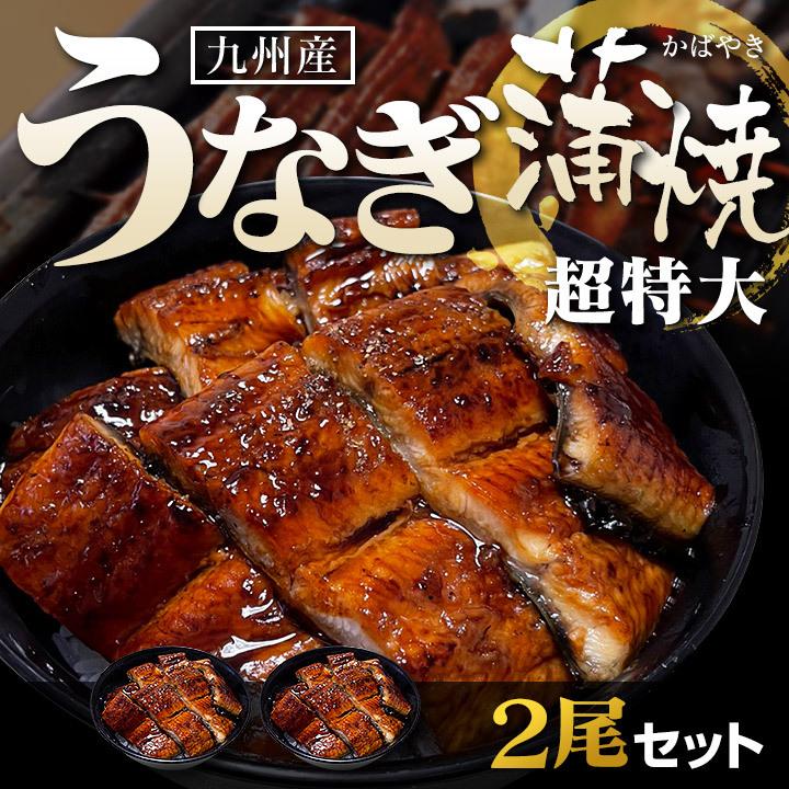 2尾セット】九州産うなぎ蒲焼(超特大) ふっくら肉厚で父の日ギフトに  