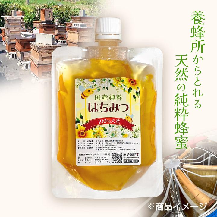 はちみつ 国産純粋蜂蜜(パウチパック) 100%天然 花々から採取した百花