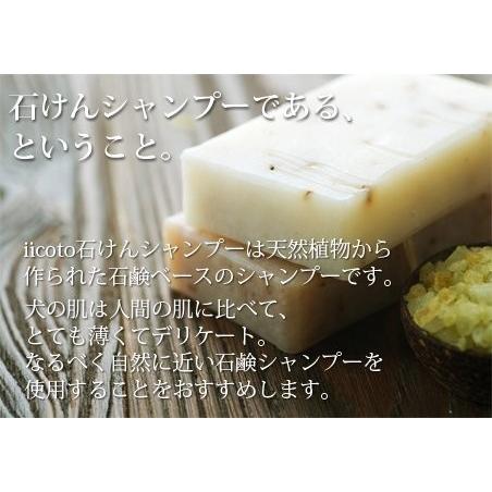 送料関税無料 Iicoto いいこと せっけんシャンプー250ml Shipsctc Org
