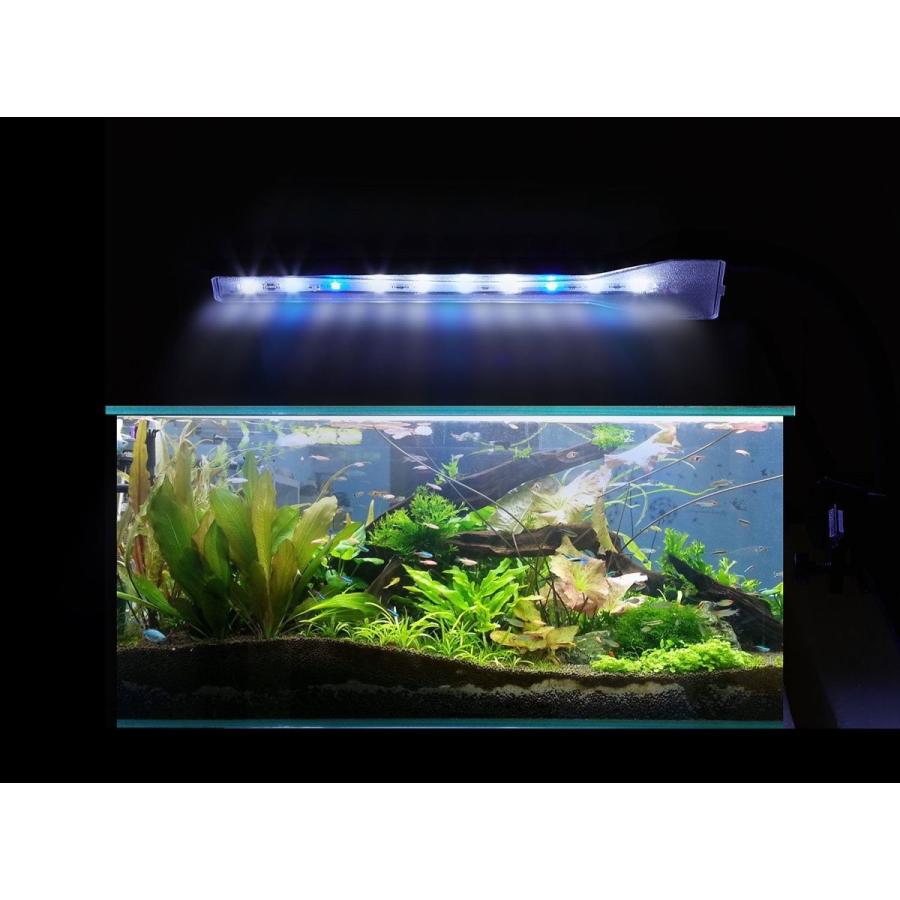 5 大好評 Anpet 水槽ledランプ クリップ式 2 9w アクアリウム 照明ライト Led白7枚 青2枚 長寿命 省エネ 水草育成 観賞魚 熱帯魚 Shipsctc Org