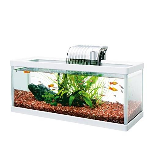 現品限り一斉値下げ テトラ Tetra ホワイトアクアリウム スリムamp ロー 4 Shipsctc Org