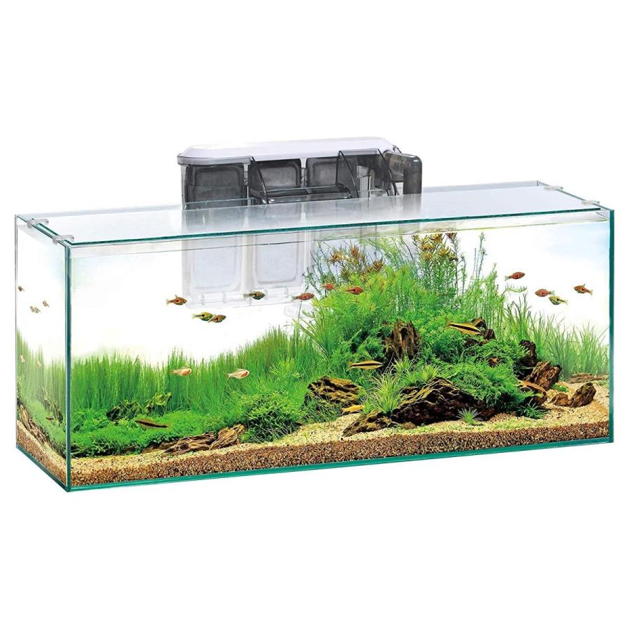 お買得 ジェックス 水槽 グラステリア スリム600 6点セット Gts600 Fech Cl