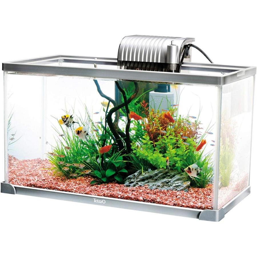 期間限定60 Off テトラ Tetra アクアリウムセット Ag 52gf Shipsctc Org