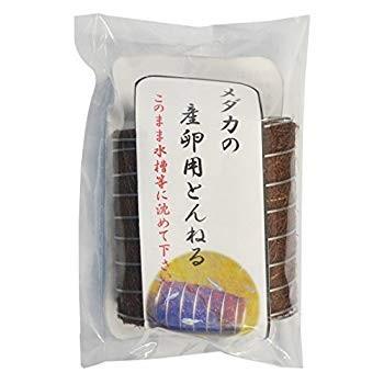 メダカの産卵とんねる 2個入 メダカの巣 Thenicovid19results Com