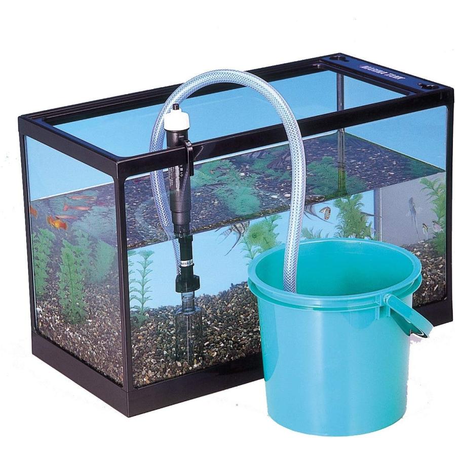 ジェックス そうじやさん 水槽用石 Www Smarttradzt Com