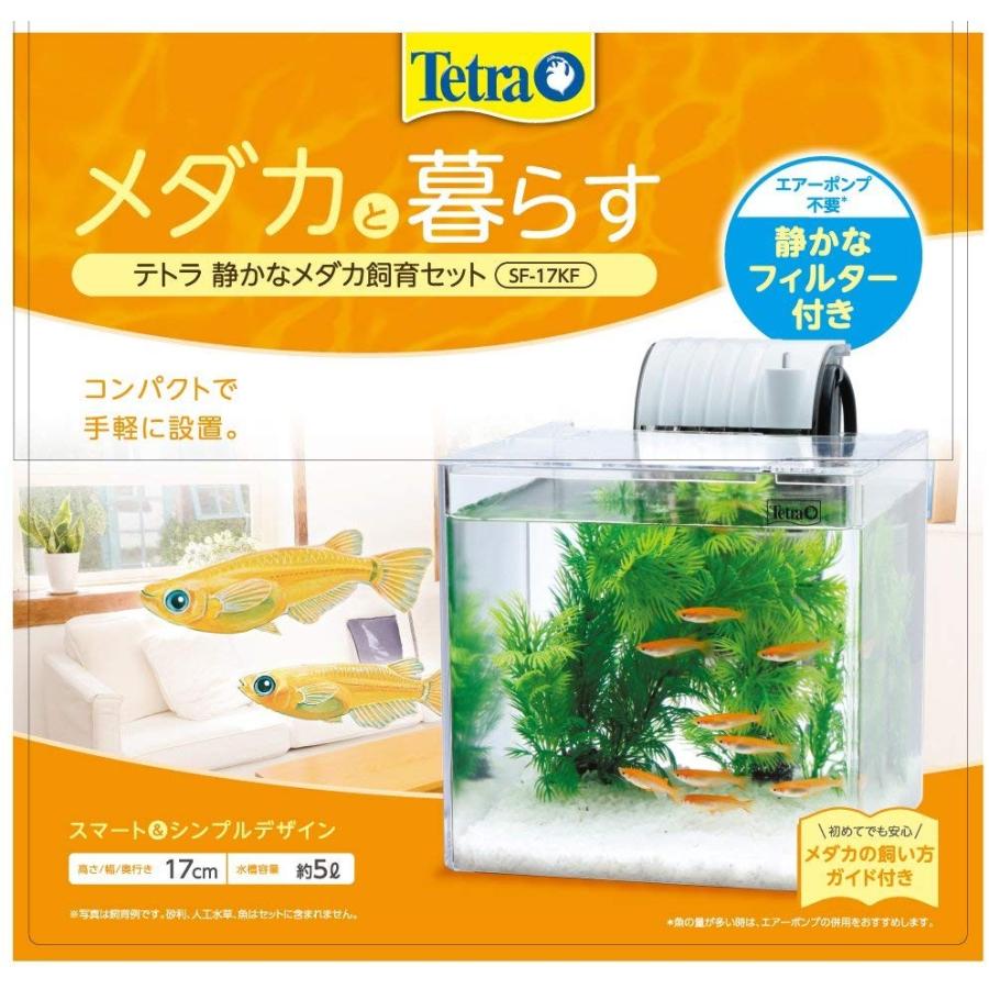 テトラ Tetra テトラ 静かなメダカ飼育セット Sf 17kf いつでも家電専門店 通販 Yahoo ショッピング