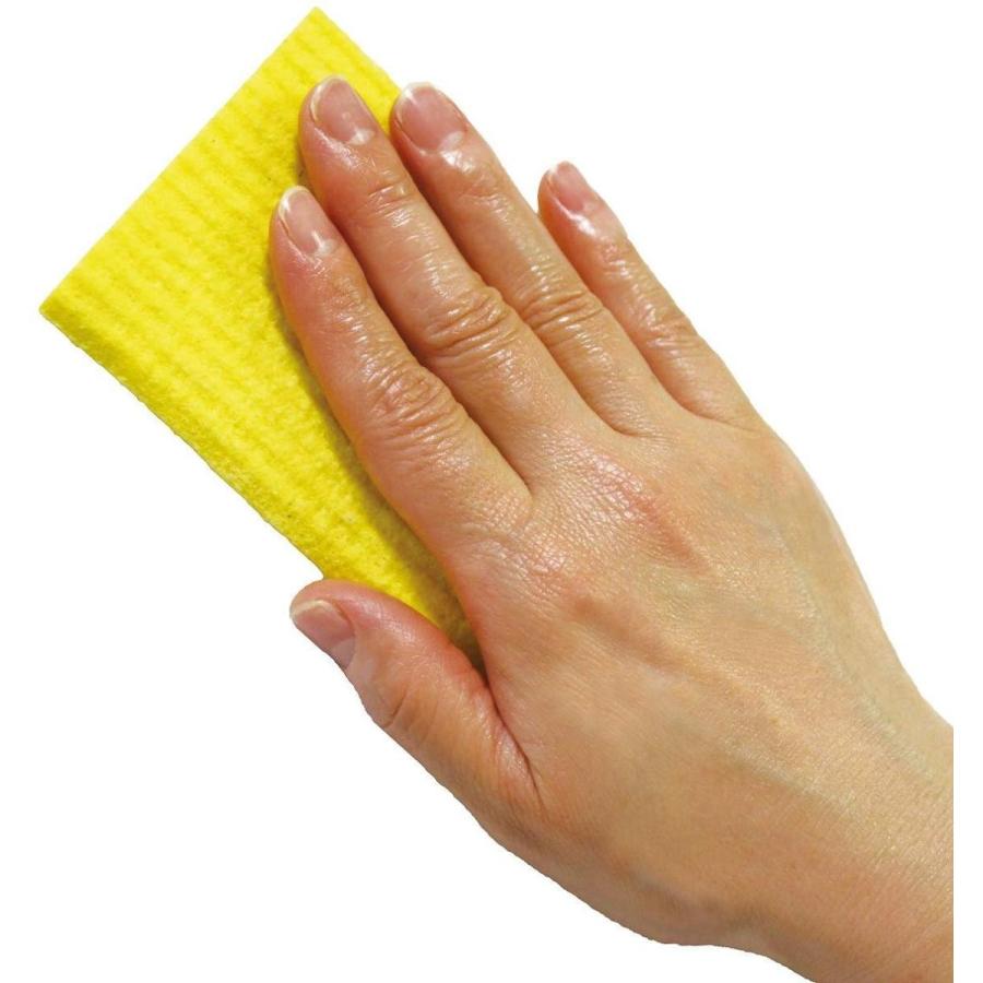 プロホースエクストラs 8点セット コケクロスワイパーミニ コケクロスハーフ3個 水槽おそうじ手袋 パッド ふきん 水槽用石 Canipec Org Mx