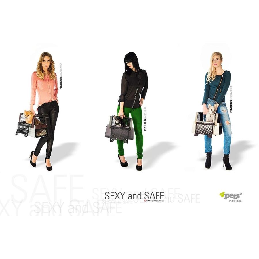 4Pets ペントハウス ロサンゼルス ペット キャリー 犬猫用 小型犬・猫用 ペントハウス 4Pets 犬猫用 小型犬・猫用 ロサンゼルス キャリー ペット