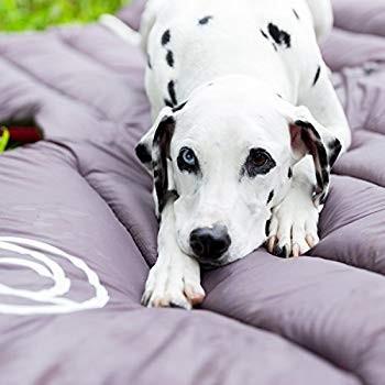 ファッド (FAD) パッカブル・ベッド コールグレー L サイズ ファッド FAD パッカブル ベッド コールグレー サイズ