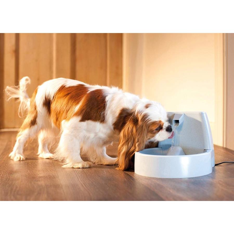 人気急上昇】【人気急上昇】PetSafe(ペットセーフ) ドリンクウェル ペットファウンテン 専用クリーニングキット 1個 食器、餌やり、水やり用品 PetSafe ドリンクウェル ペットファウンテン 専用クリーニングキット 1個