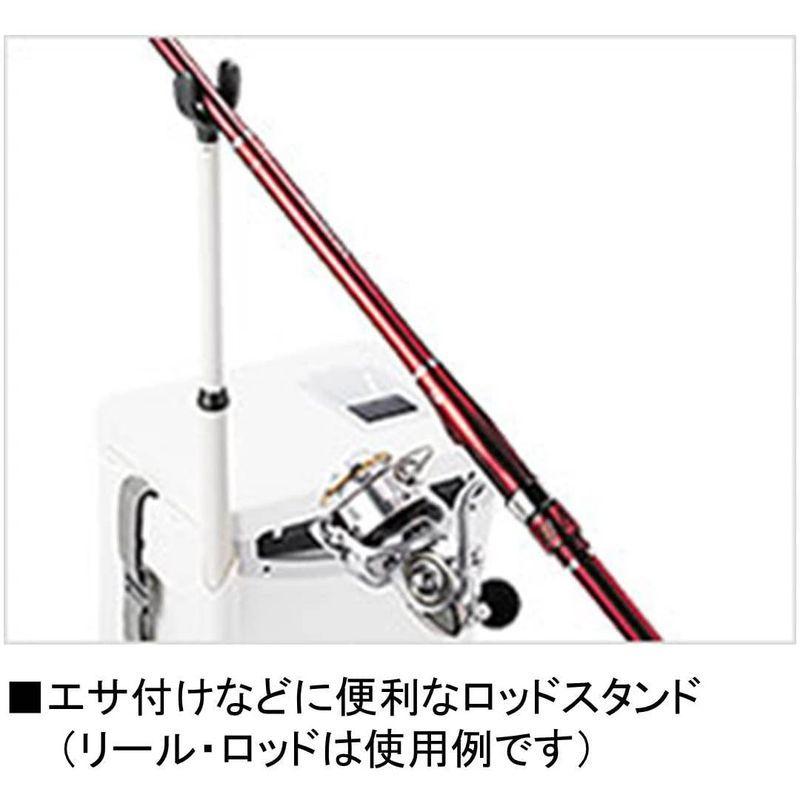 ダイワ(DAIWA) クーラーボックス クールライン SURF S800X 釣り 小型 8リットル 発泡スチロール ダイワ DAIWA クーラーボックス クールライン SURF S800X 釣り 小型 8リットル 発泡スチロール