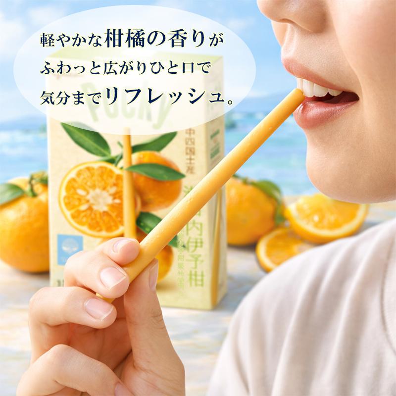 Pocky グリコ ポッキー 瀬戸内伊予柑 ご当地 チョコレート 瀬戸内限定