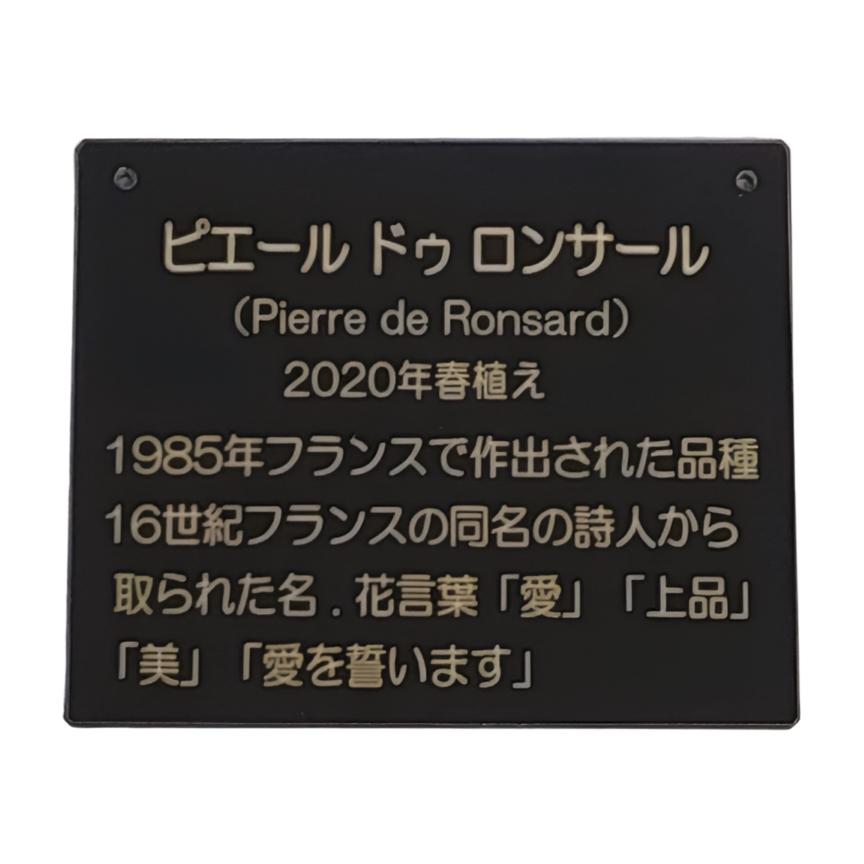 植物ネームプレート 名入れ刻印 オーダーネームタグ アクリル 園芸