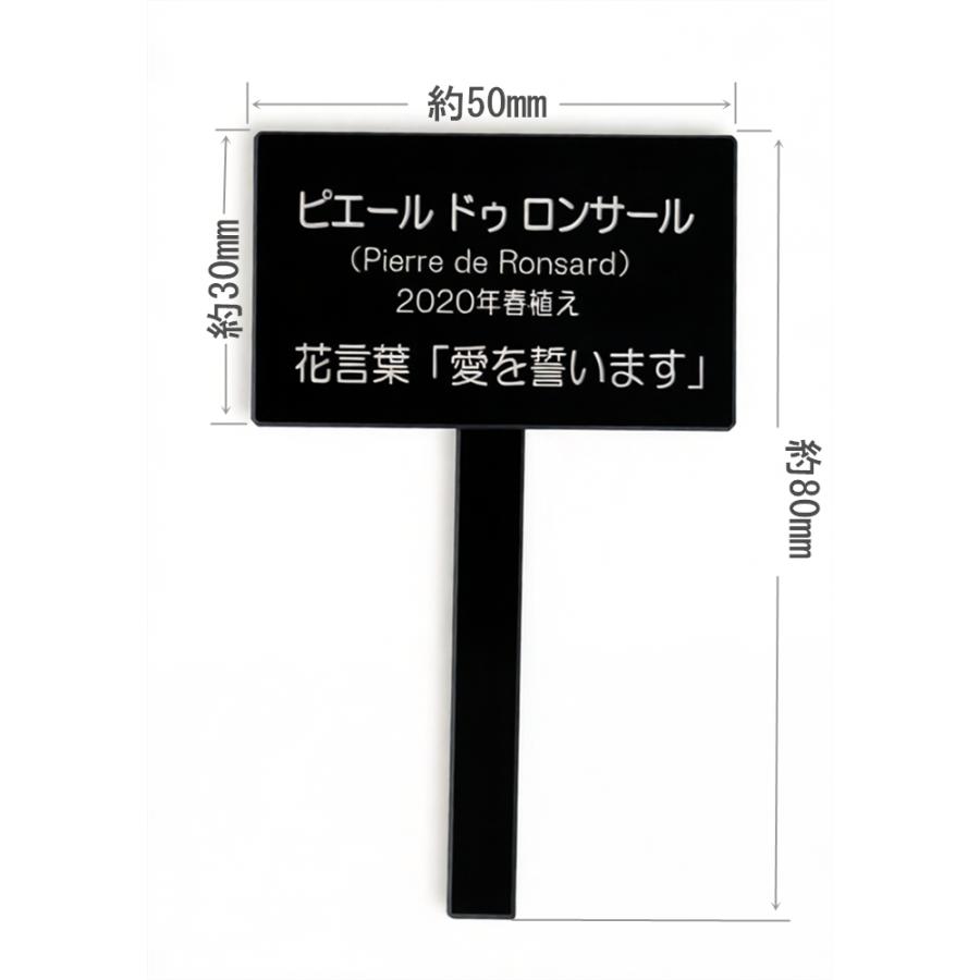 専用ページ 大矢） Ohya Shoji 4色クレヨン・消しゴムセット 4580259212608