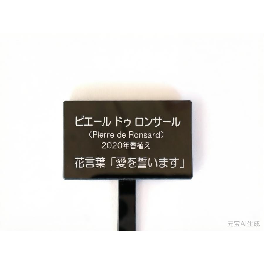 植物ネームプレート 名入れ刻印 オーダーネームタグ アクリル 園芸