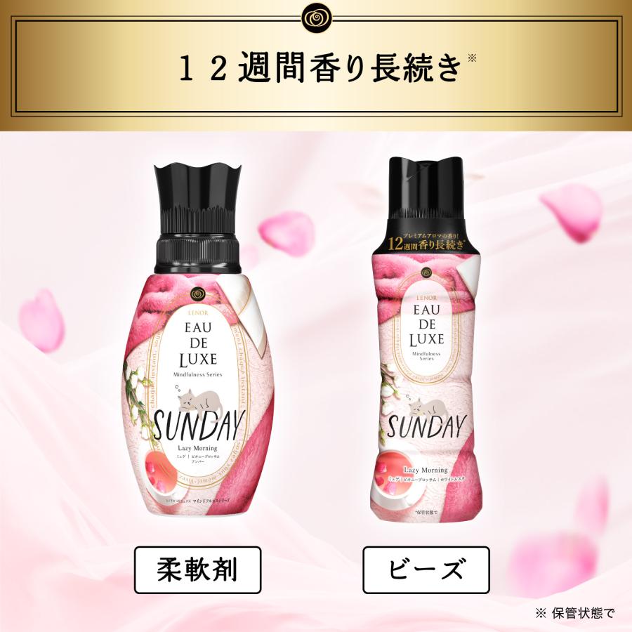 【5%OFF】レノア オードリュクス マインドフルネスシリーズ アロマジュエル サンデー 本体 520mL 6個 柔軟剤 洗濯 衣類 消臭 ビーズ｜itsumomart｜10