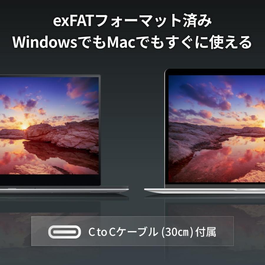 バッファロー ポータブル SSD 外付け 2TB USB4 Gen3x2 対応 Type-C