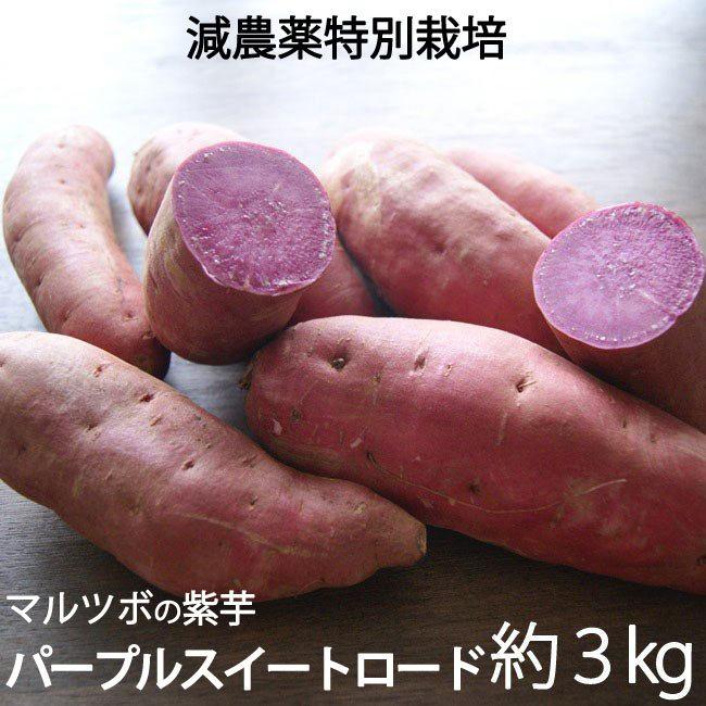 紫芋 マルツボの パープルスイートロード 減農薬 特別栽培 茨城
