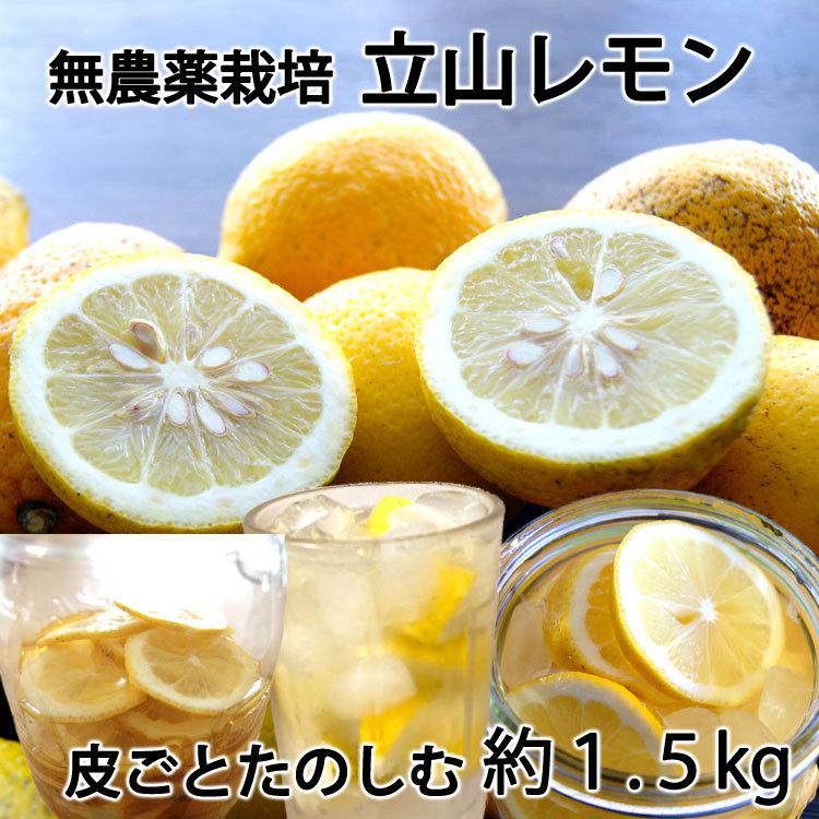 立山レモン 無農薬栽培国産レモン 神奈川県産 混在約1.5kg ＊常温便 ＊送料込 :20140527-0018:いっとうもの - 通販 -  Yahoo!ショッピング