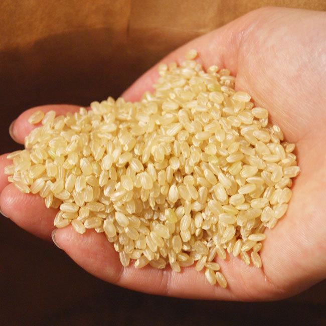 コシヒカリ 令和6年産新米 有機栽培米 「コシヒカリ」玄米 コシヒカリ 令和6年産新米 有機栽培米 「コシヒカリ」玄米