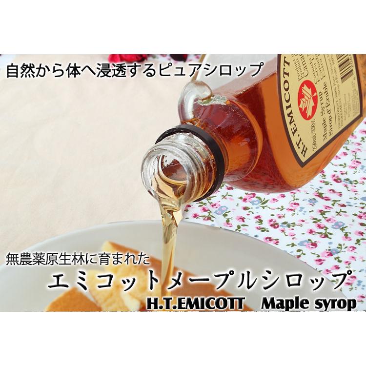 公式の店舗 メロンシロップ 紙パック 1000ml 業務用 かき氷 カクテル おまつり メロンパン 三田飲料 新品未開封 メープルシロップ