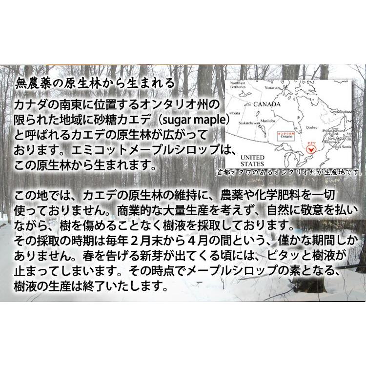 SALE／76%OFF】 エミコットメープルシロップ１２本 asakusa.sub.jp