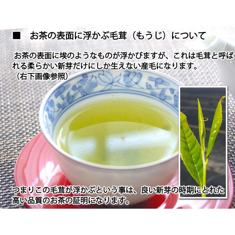 2026年産新茶 無農薬無化学肥料栽培 かぶせ茶 玉緑茶 製法「露しずく