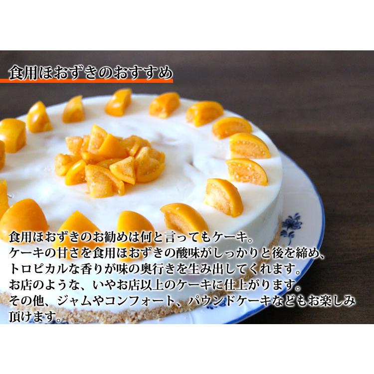 ネクスファームの 食用ほおずき フルーツほおずき 岩手花巻産 約250ｇ 1パック約50g 5パック 減農薬栽培 送料込 代引き不可 0159 いっとうもの 通販 Yahoo ショッピング