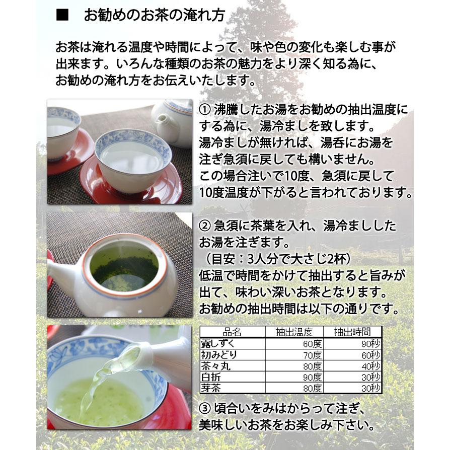 最も優遇の 完全無農薬 銘茶 苗10株（1株から芽が幾つも出てます）品種